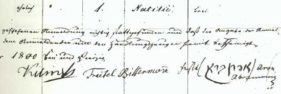 Natalie Birth Record 2