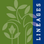 Lineages Logo